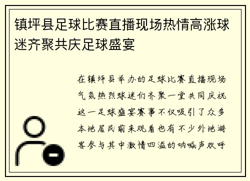 镇坪县足球比赛直播现场热情高涨球迷齐聚共庆足球盛宴